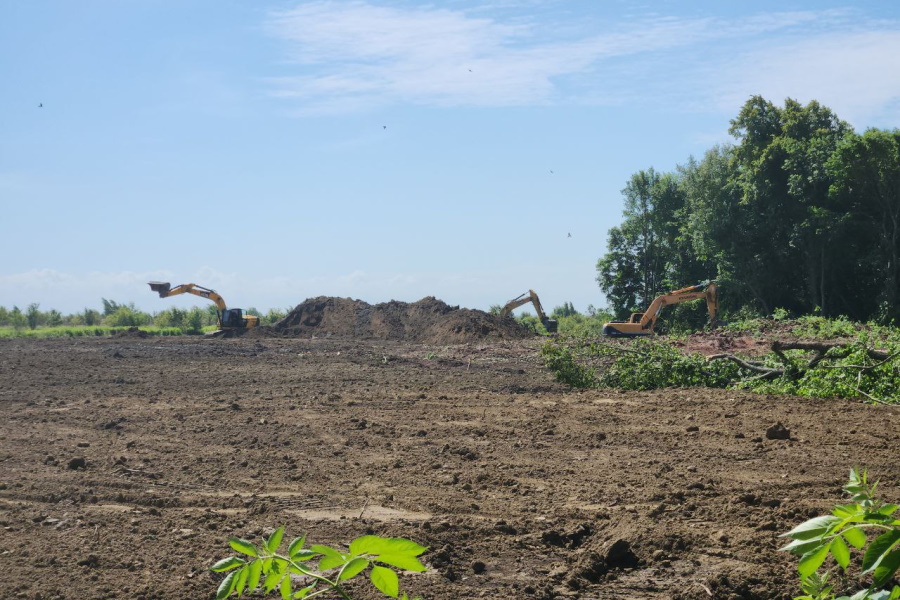 Очевидец: рядом с участком под «Белую дюну» вырубают зелёную зону (дополнено) (фото) 