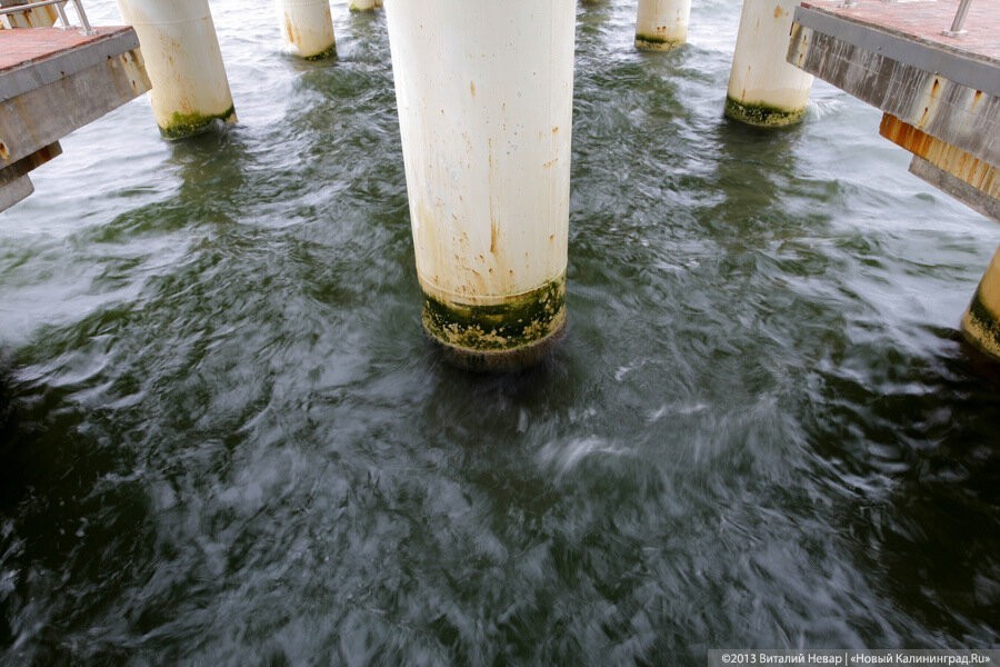 Поиски пропавшей на пляже в Зеленоградске 12-летней девочки продолжаются