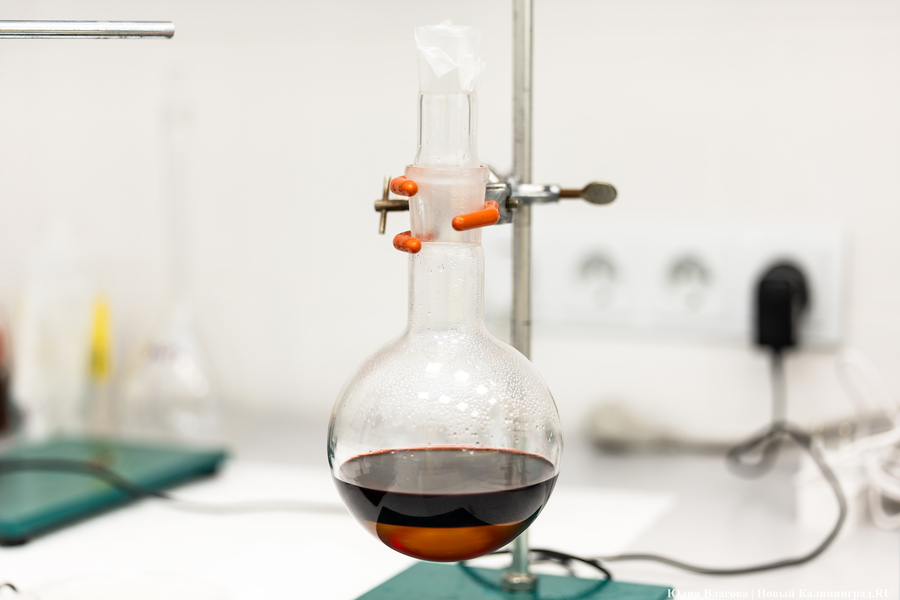 Калининградская область оказалась в середине рейтинга по доле молодых ученых