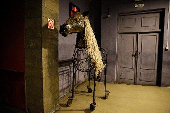 Лошадь и тюремные унитазы: культовые предметы в интерьере калининградских клубов