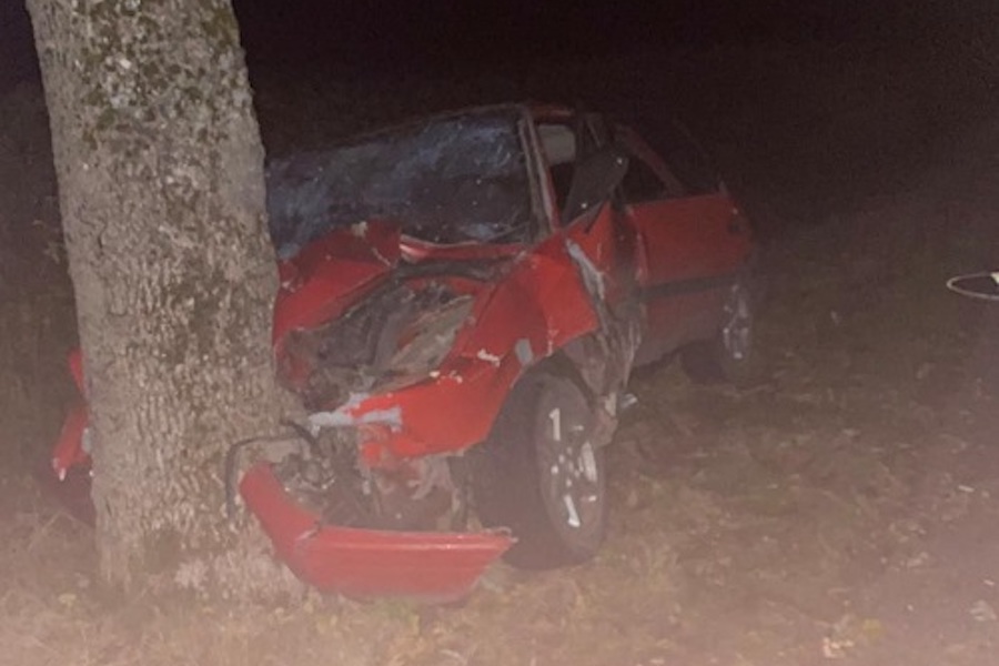 Под Черняховском «Мазда» врезалась в дерево, пострадали трое (фото)