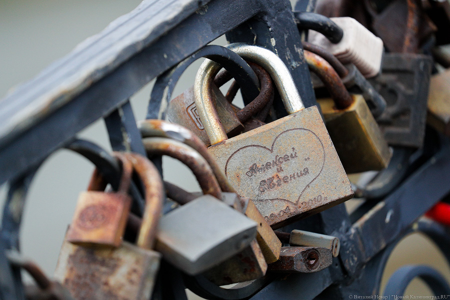 Калининградские власти отказались от создания «дерева любви» для размещения свадебных замков