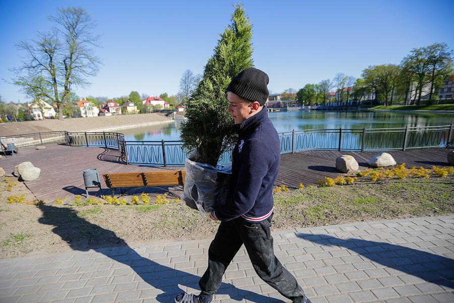 Городские власти намерены изъять участок земли, разыгранный ещё при Георгии Боосе