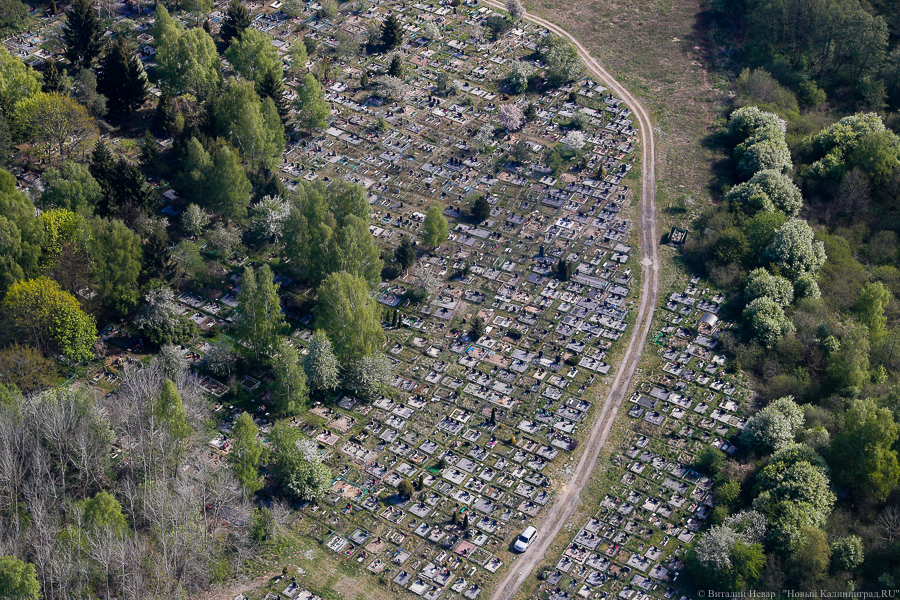 Власти Калининграда выделяют 5,2 млн на расширение одного из городских кладбищ