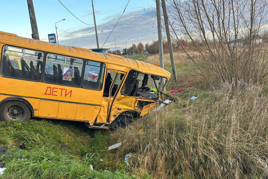 В ДТП со школьным и пассажирским автобусами под Славском пострадали пять человек