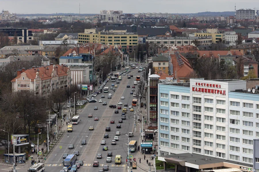 Замминистра просвещения РФ планирует выдвинуться в Госдуму от Калининградской области