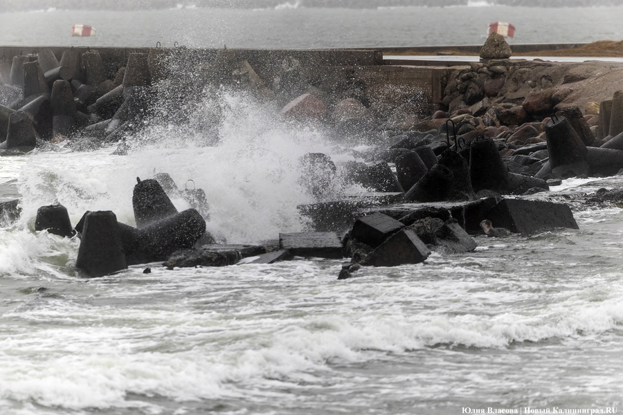 В Калининградской области 30 октября ожидается усиление ветра до 28 м/с