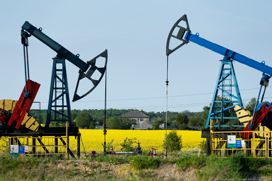 Польша и Германия подали заявки на поставку российской нефти