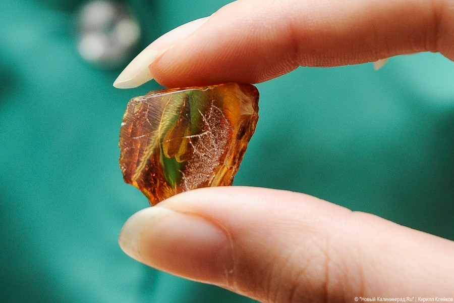 Калининградская полиция незаконно забрала тонну янтаря у бизнесменов