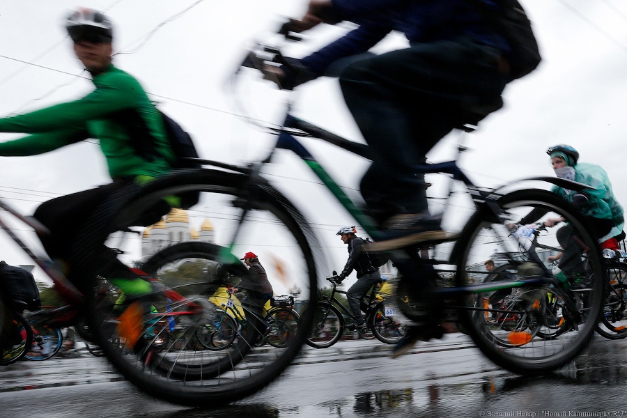 В Калининграде  полиция ищет малолетнего велосипедиста, сбившего пенсионерку