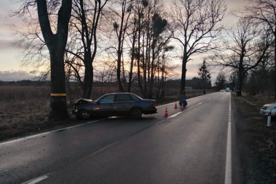 На правдинской трассе «Форд» врезался в дерево, пострадала пассажирка (фото)
