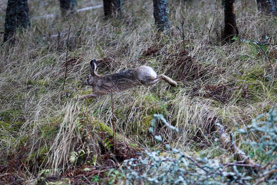 В регионе в 2024 году выявили 160 нарушений природоохранного законодательства