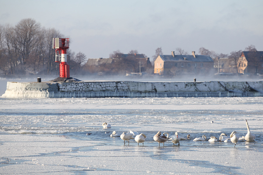Власти Балтийска об аварии на водопроводе: в Минобороны скрыли утечку