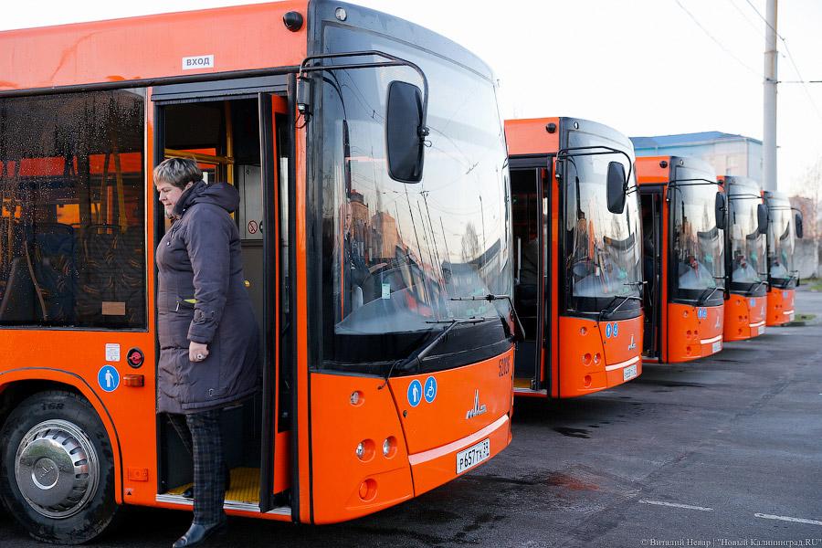 Мэр Калининграда рассказал, какого цвета будут все городские автобусы