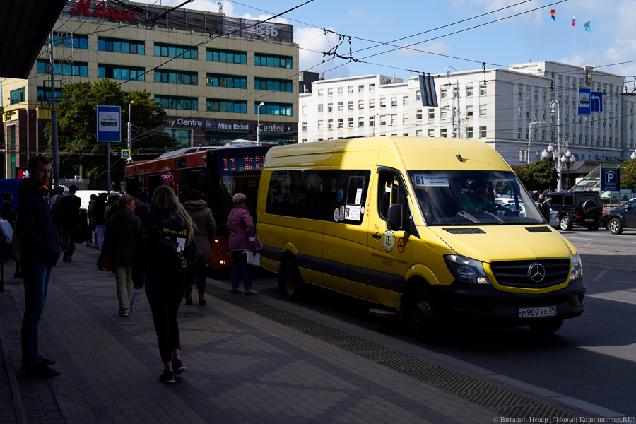Рольбинов о стоимости проезда: перевозчики просили ещё больше увеличить тариф