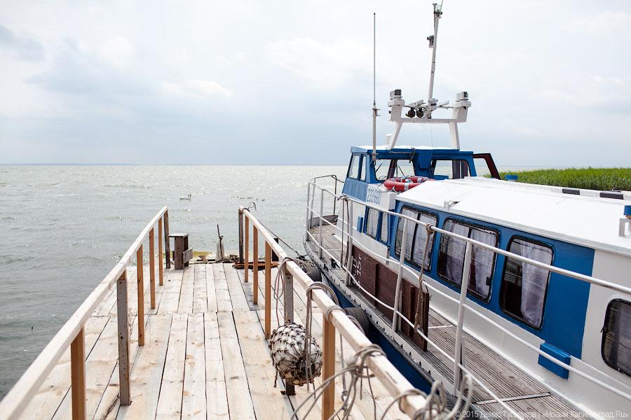 Колония бакланов и прусские джунгли: неожиданные экскурсии по Калининградской области