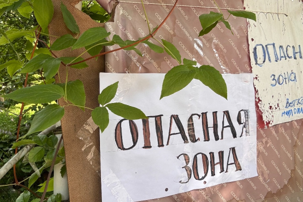 Новости Калининграда: топливо возвращается в канистры, старый клён и два Гана