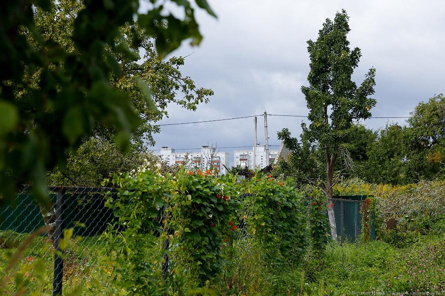 Дачники полгода не дают властям запретить частное строительство в СНТ «Октябрьское»