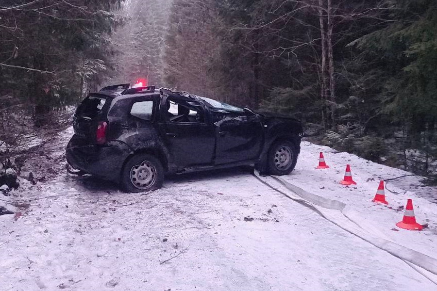 В Роминтской пуще в ДТП погиб сын владельцев гостевого дома (фото)