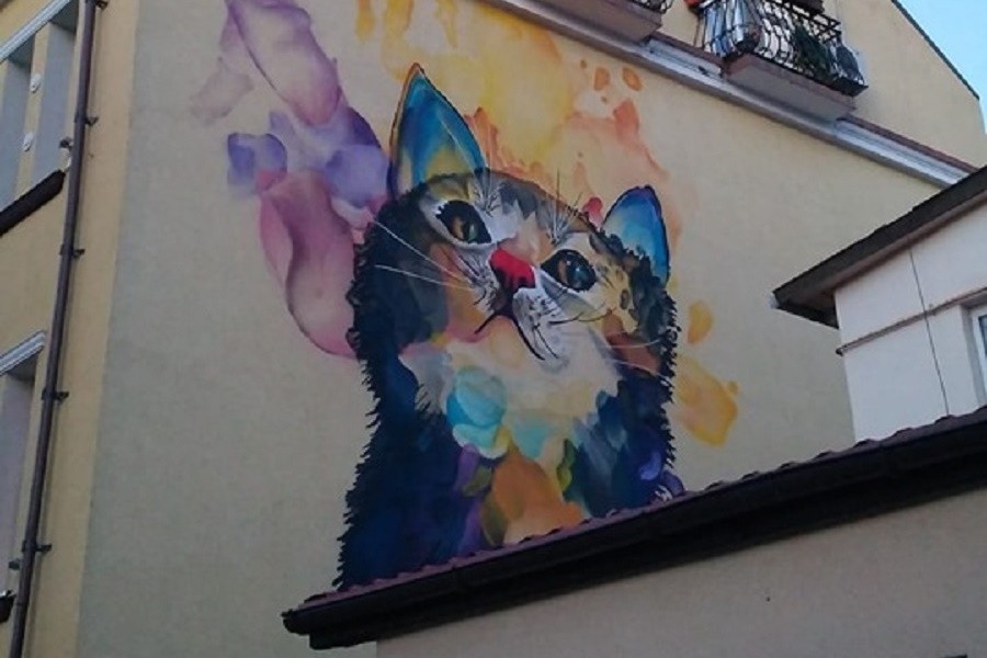 В Зеленоградске на фасаде дома появился разноцветный кот (фото)