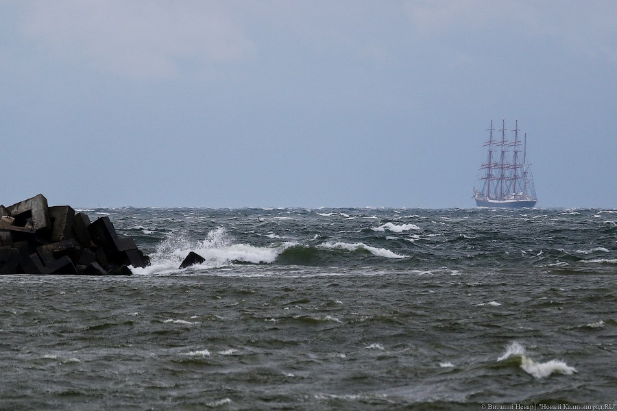 Россия выделяет 4,4 млн евро на программу трансграничного сотрудничества на Балтике