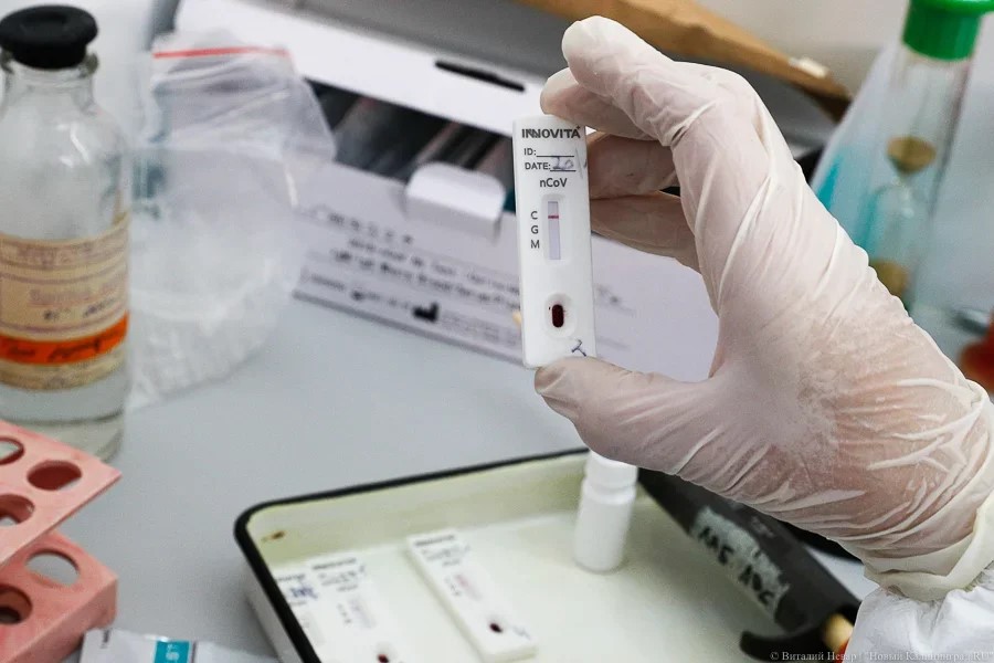 В Калининградской области число заражений коронавирусом превысило 3,5 тысячи