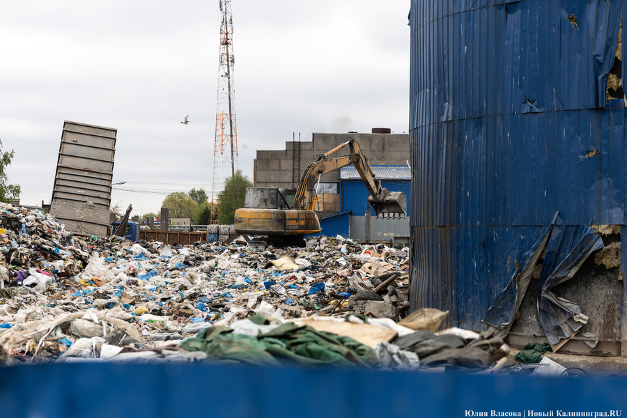 Минприроды: в Калининграде требуется перенос трех мусорных станций