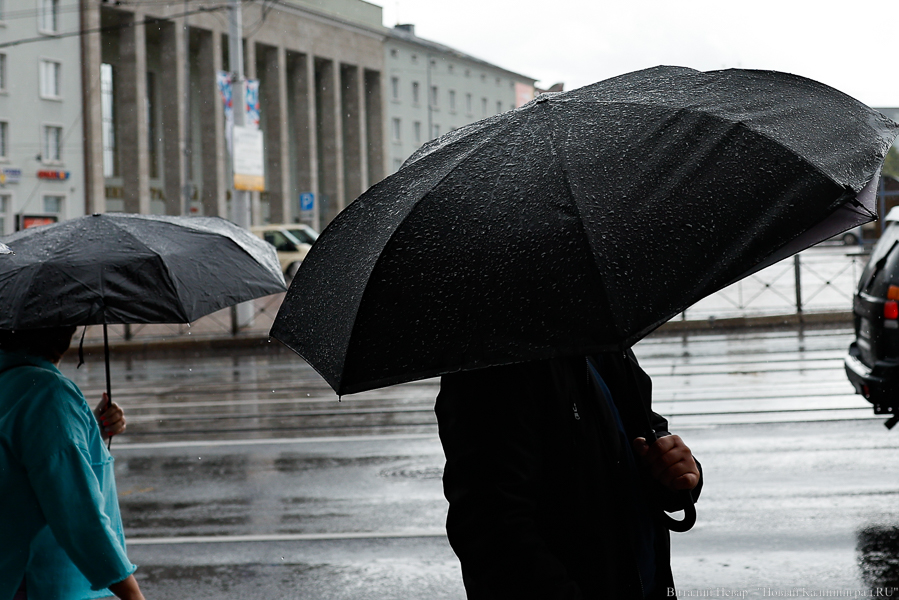 Дожди с утра до вечера и не теплее +15°С: погода в Калининграде 11 июня