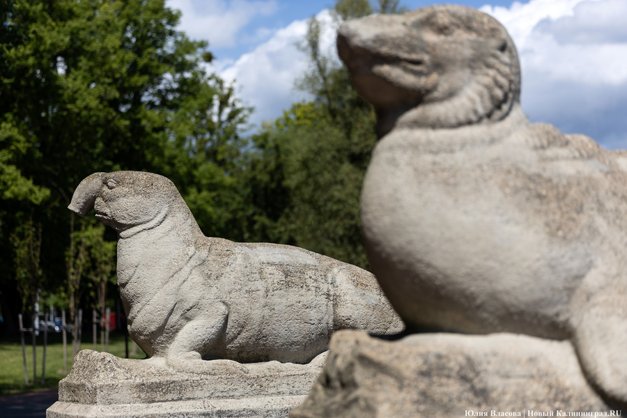 Загадки Марауненхофа: от «Боинга» до «Острова мёртвых»