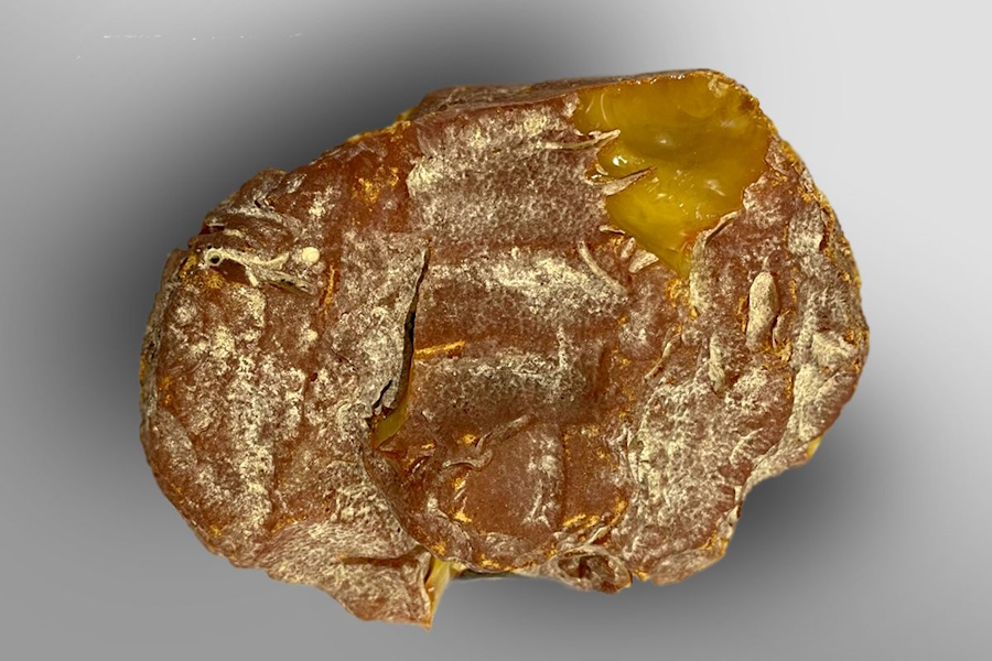 На янтарном комбинате решили назвать уникальный самородок «Председателем» (фото)