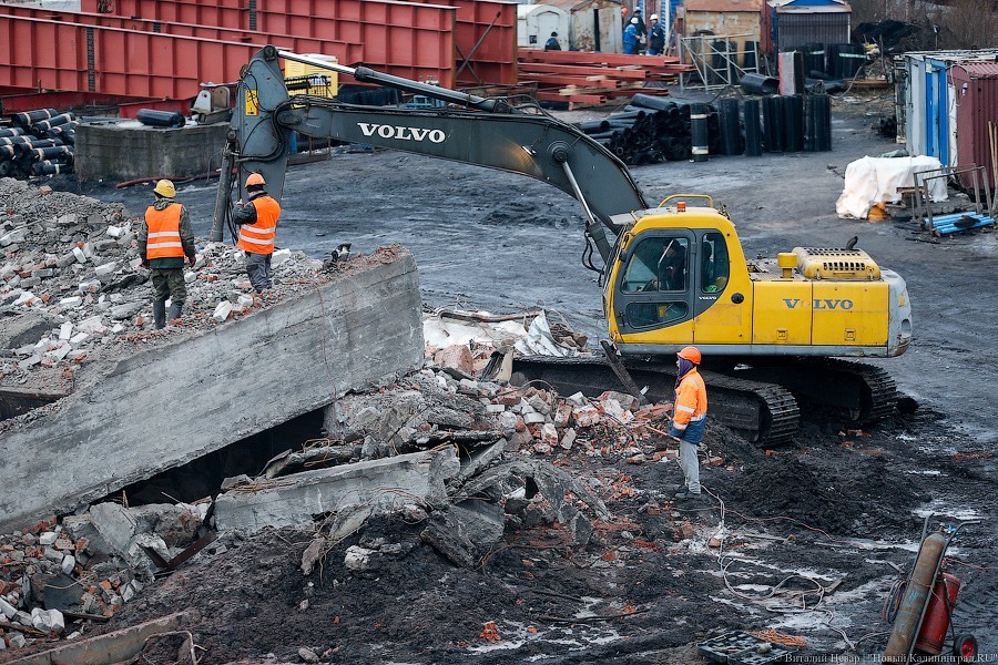 Дятлова: торги на проект третьей очереди Восточной эстакады будут объявлены в июне