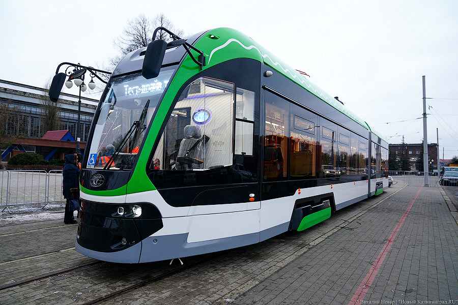 Конкурс на закупку Калининградом новых трамваев и автобусов приостановлен