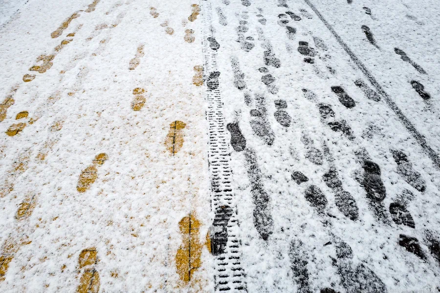 Беспрозванных похвалил единороссов за уборку снега