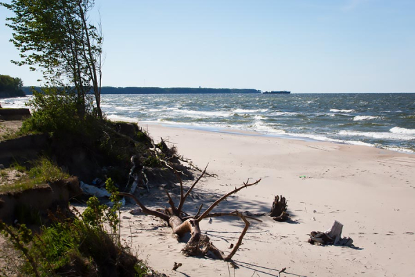 Проект для путепровода в Сокольниках разрабатывают по заказу компании Качановича