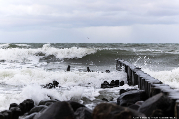 Вечерний@Калининград: штормовые перебои, зеленоградские Мальдивы и «Династии»