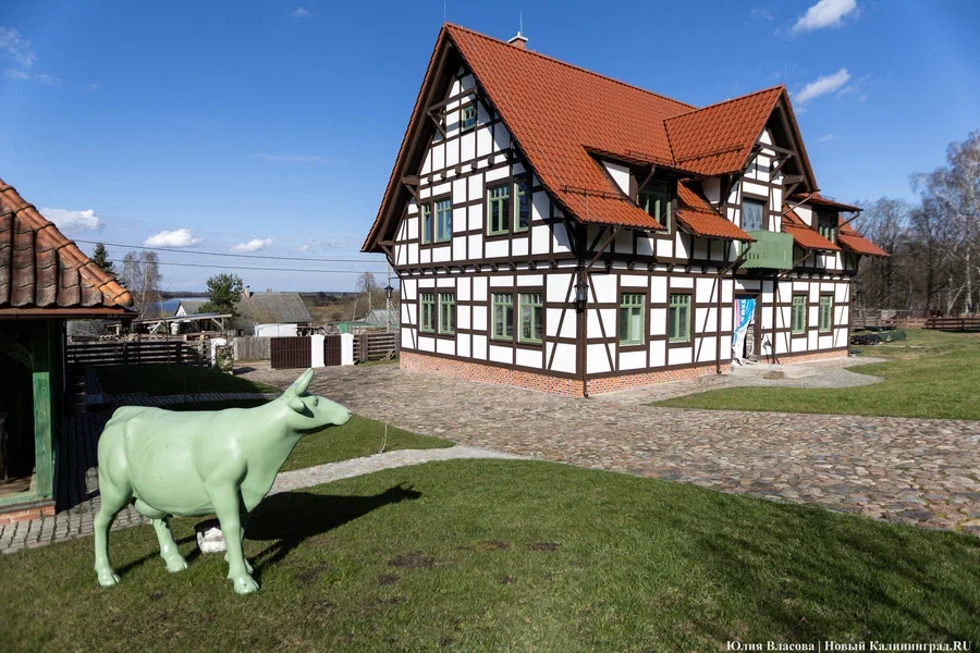 Рекордное тепло и дожди: прогноз погоды в Калининграде на выходные и далее