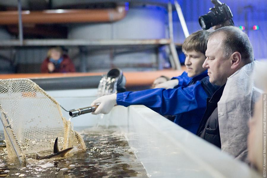 «Над ним смеются»: что значит «ошибка» Кремля для Цуканова