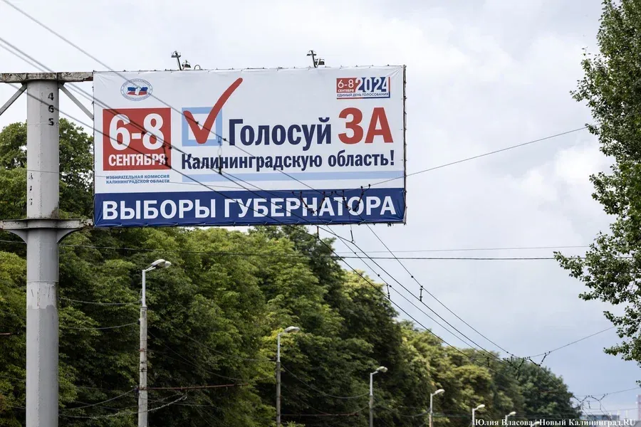 Облизбирком назвал сроки приёма заявлений на дистанционное голосование