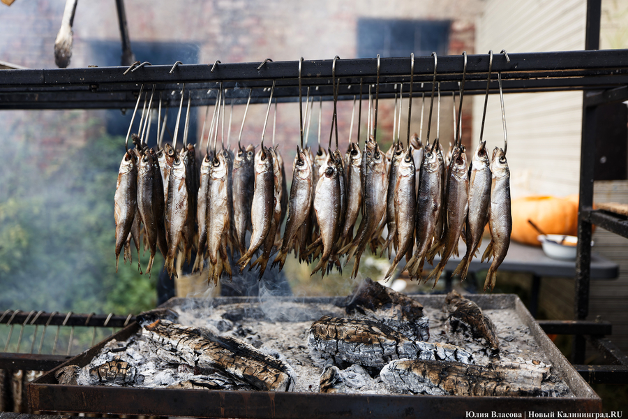 В Калининградской области зафиксировали сокращение объема рыбной продукции