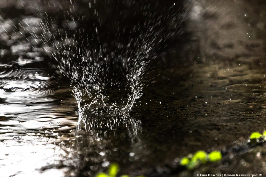 Кратковременные дожди: погода в Калининградской области 19 апреля