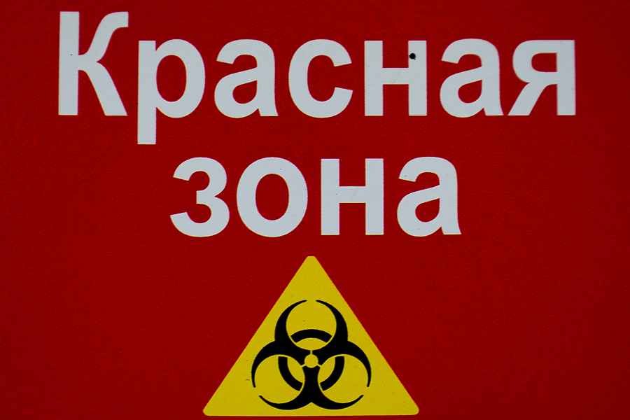 Россияне рассказали, как они планируют провести дни локдауна