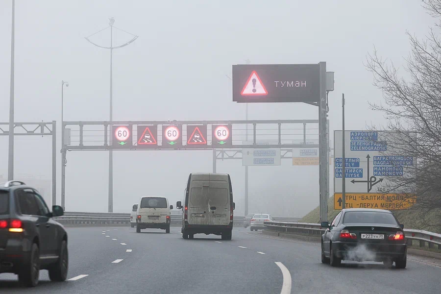 Дымка, местами сильный туман: погода в Калининградской области 6 марта