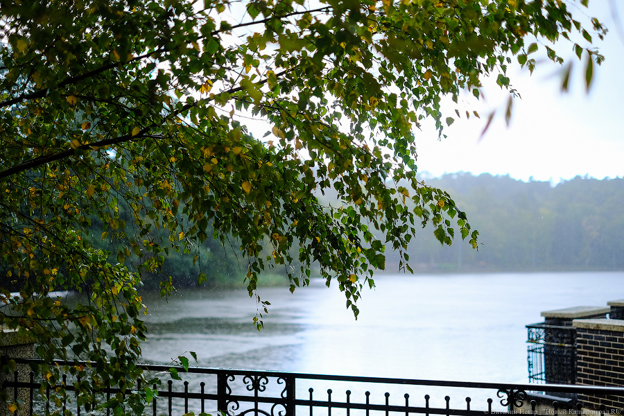 Теплые дожди: синоптики рассказали о погоде в Калининградской области в выходные