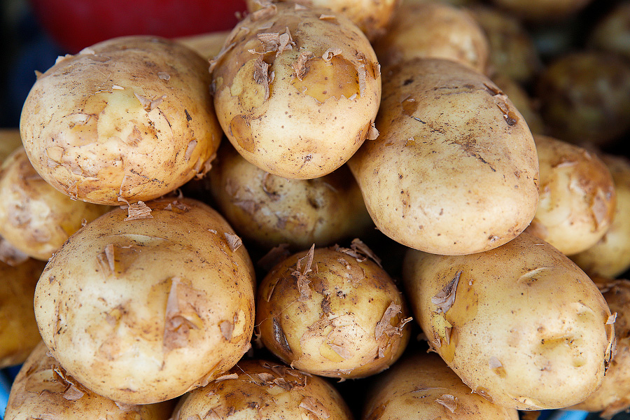 Калининградстат: почти половина картофеля в регионе выращивается в хозяйствах населения