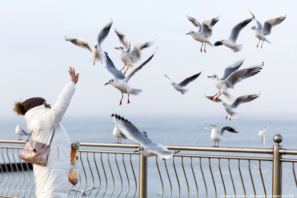Калининградская область вошла в топ направлений на мартовские праздники