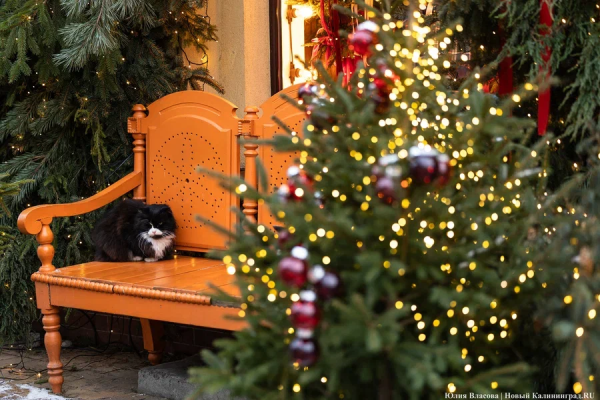 Новогодняя ночь, забег Дедов Морозов, ярмарки: как провести каникулы на побережье