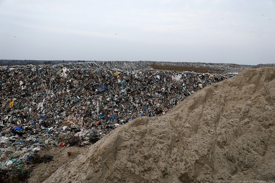Власти хотят законодательно запретить вывоз переработанного мусора из области без пошлин