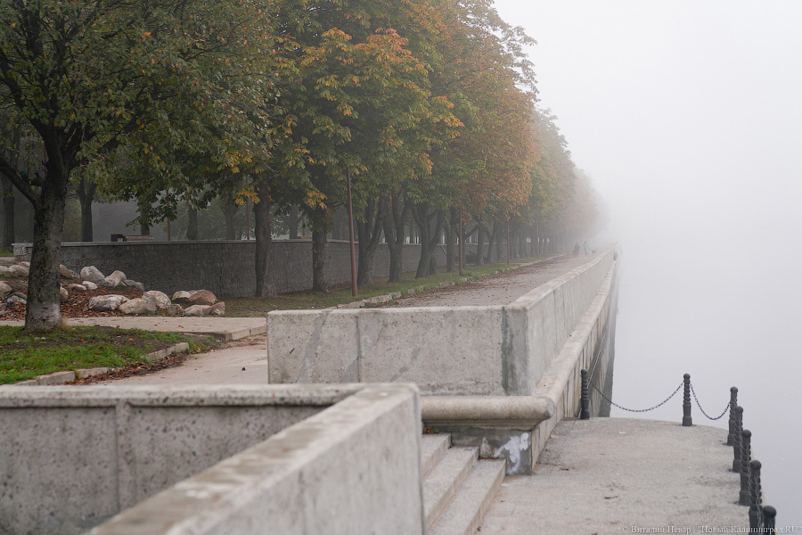 Погода в Калининградской области 6 октября