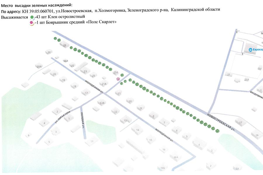 В Холмогоровке разрешили вырубить 48 деревьев ради детской площадки