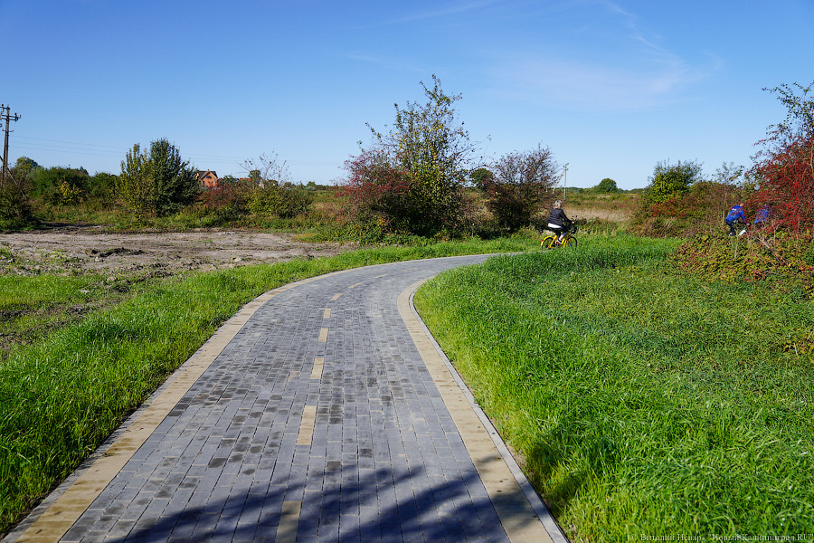 Власти: строительство велодорожки на Куршской косе не остановится